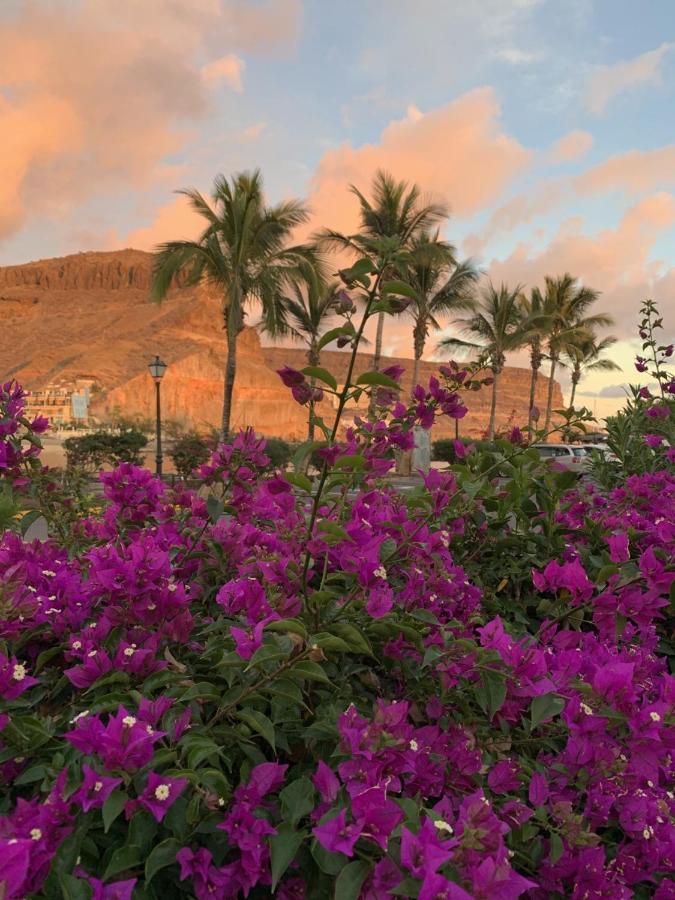 Ilios De Mogan Lejlighed Puerto De Mogan Eksteriør billede