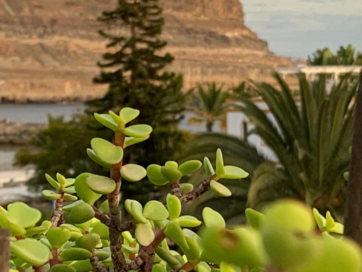 Ilios De Mogan Lejlighed Puerto De Mogan Eksteriør billede